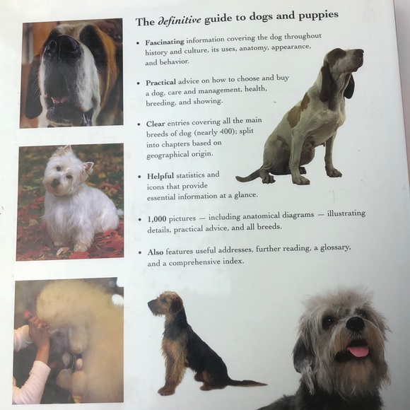 Encyclopedia of digs and puppies - Picture 2 of 2